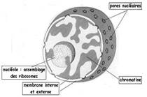 Description&nbsp;: http://127.0.0.1:89/LotusQuickr/accesmad/PageLibrary85256EA100360389.nsf/h_Index/A95CBCF0A6BAD52143257D56003D7B39/$FILE/image005.jpg?OpenElement&1410952326