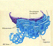Description&nbsp;: http://127.0.0.1:89/LotusQuickr/accesmad/PageLibrary85256EA100360389.nsf/h_Index/A95CBCF0A6BAD52143257D56003D7B39/$FILE/image007.gif?OpenElement&1410952326