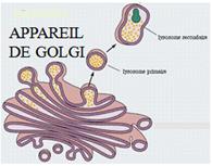 Description&nbsp;: http://127.0.0.1:89/LotusQuickr/accesmad/PageLibrary85256EA100360389.nsf/h_Index/A95CBCF0A6BAD52143257D56003D7B39/$FILE/image008.jpg?OpenElement&1410952326